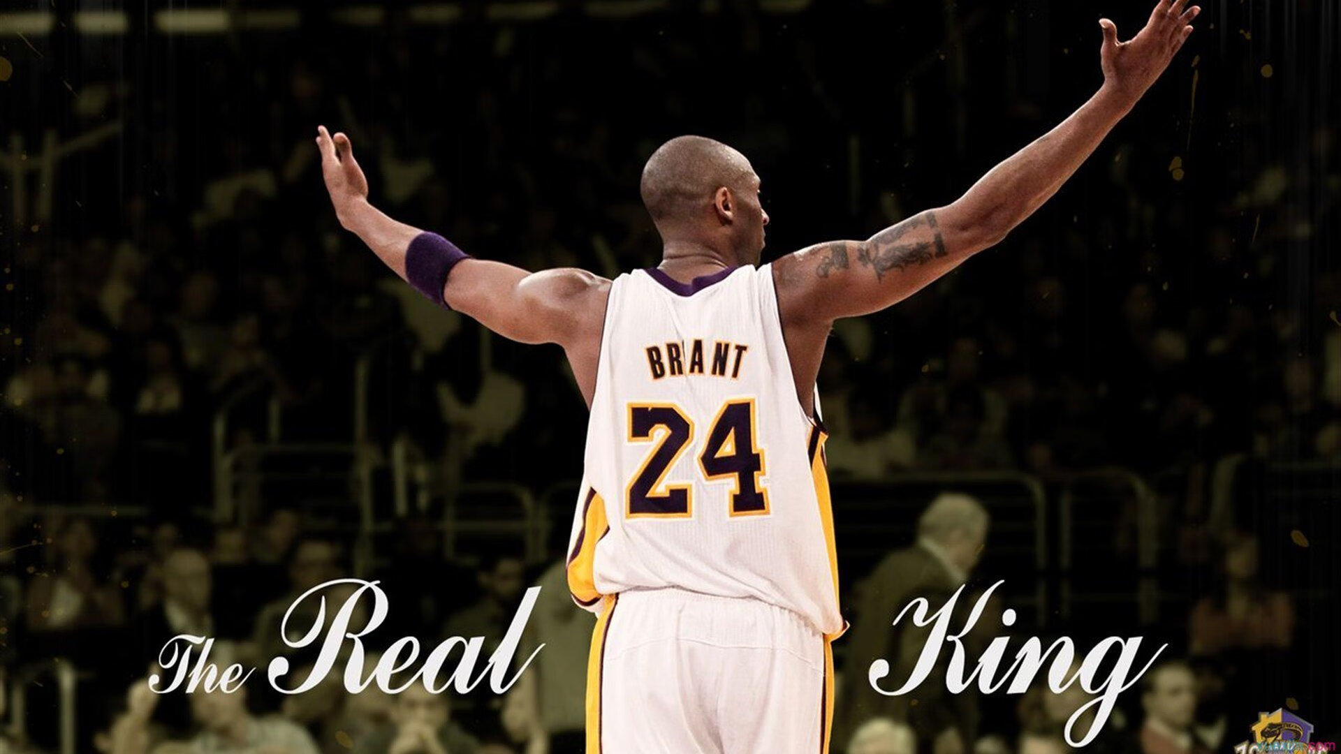 Ming迎来十五赛季高光表现，切尔西球迷沸腾！